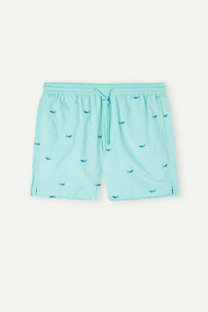 Costum Competitie Barbati Intimissimi Embroidered Shark Turcoaz Deschis Verzi Gri Inchis | RO LH2735
